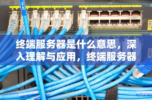 终端服务器是什么意思，深入理解与应用，终端服务器是什么意思啊