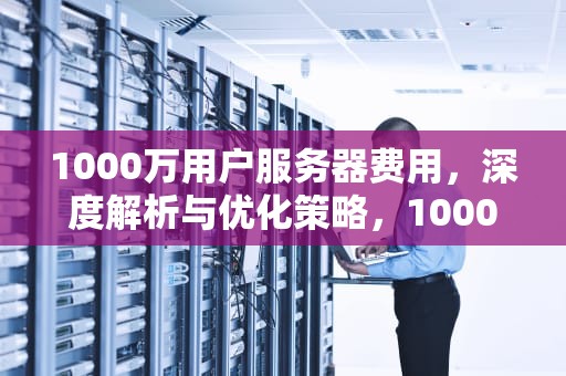 1000万用户服务器费用，深度解析与优化策略，1000万用户的服务器成本