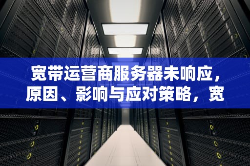 宽带运营商服务器未响应，原因、影响与应对策略，宽带运营商服务器未响应是什么意思