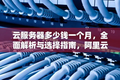 云服务器多少钱一个月，全面解析与选择指南，阿里云服务器多少钱一个月