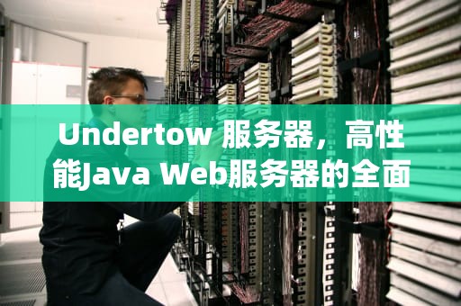 Undertow 服务器，高性能Java Web服务器的全面解析，undertow服务器开发教程