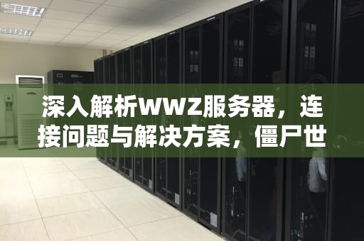 深入解析WWZ服务器，连接问题与解决方案，僵尸世界大战无法连接到wwz服务器