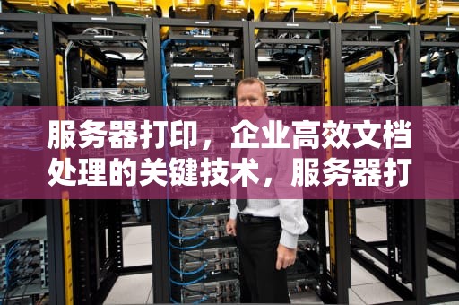 服务器打印，企业高效文档处理的关键技术，服务器打印后处理程序没有运行请重新启动