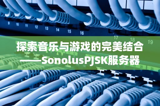 探索音乐与游戏的完美结合——SonolusPJSK服务器，sonolus pjsk服务器