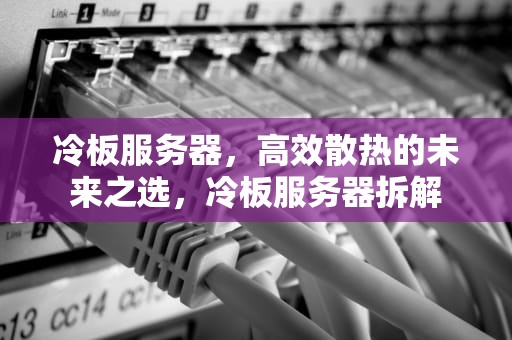 冷板服务器，高效散热的未来之选，冷板服务器拆解