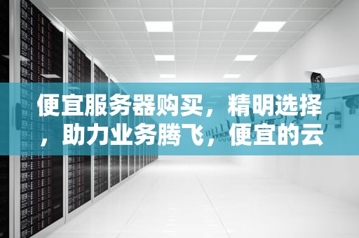 便宜服务器购买，精明选择，助力业务腾飞，便宜的云服务器购买