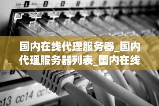 国内在线代理服务器_国内代理服务器列表_国内在线代理服务器的探索与应用