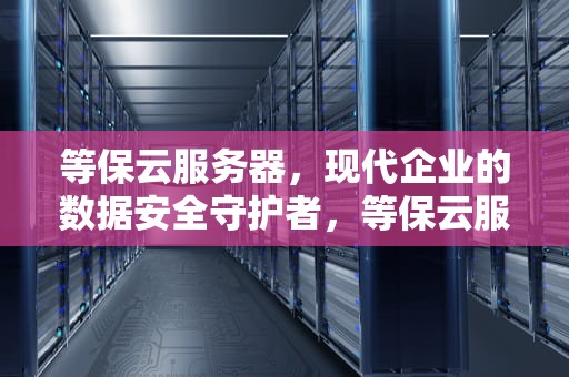 等保云服务器，现代企业的数据安全守护者，等保云服务器怎么用