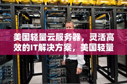 美国轻量云服务器，灵活高效的IT解决方案，美国轻量云服务器怎么用