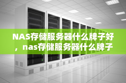 NAS存储服务器什么牌子好，nas存储服务器什么牌子好用