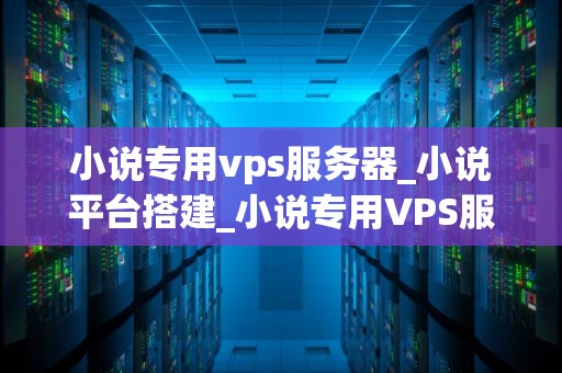 小说专用vps服务器_小说平台搭建_小说专用VPS服务器的全方位解析