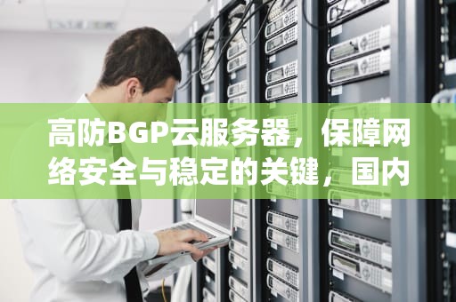 高防BGP云服务器，保障网络安全与稳定的关键，国内高防bgp服务器