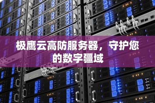 极鹰云高防服务器，守护您的数字疆域