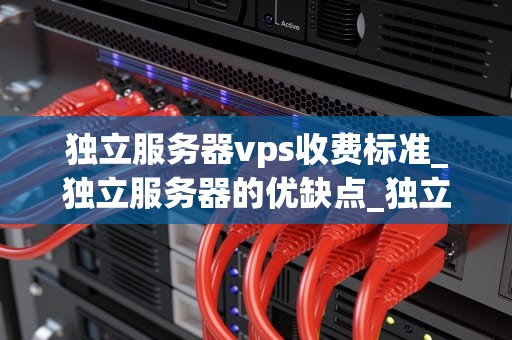 独立服务器vps收费标准_独立服务器的优缺点_独立服务器VPS收费标准及其影响因素
