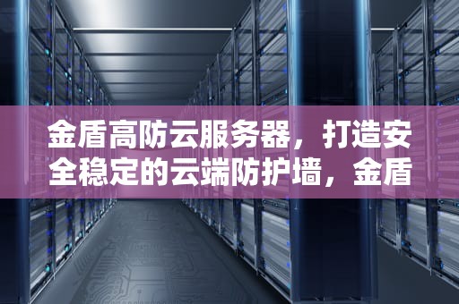 金盾高防云服务器，打造安全稳定的云端防护墙，金盾高防云服务器怎么样
