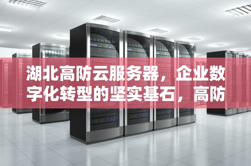 湖北高防云服务器，企业数字化转型的坚实基石，高防云服务器被网警
