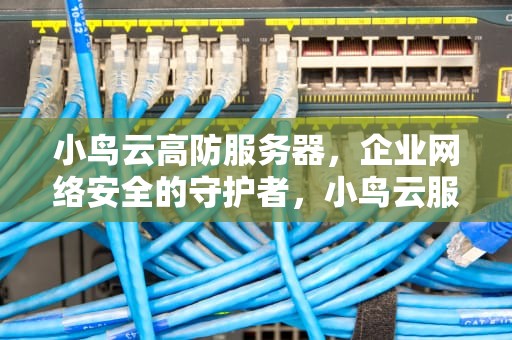 小鸟云高防服务器，企业网络安全的守护者，小鸟云服务器怎么样
