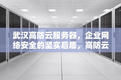 武汉高防云服务器，企业网络安全的坚实后盾，高防云服务器选哪家