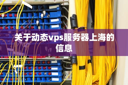 关于动态vps服务器上海的信息
