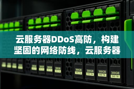 云服务器DDoS高防，构建坚固的网络防线，云服务器ddos防护