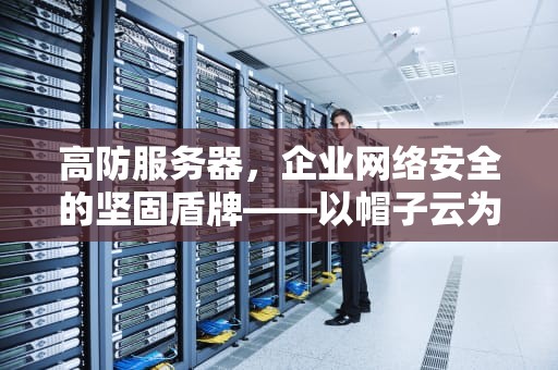 高防服务器，企业网络安全的坚固盾牌——以帽子云为例，高防服务器小知识