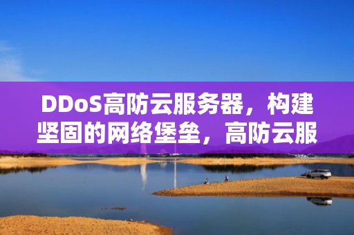 DDoS高防云服务器，构建坚固的网络堡垒，高防云服务器推荐