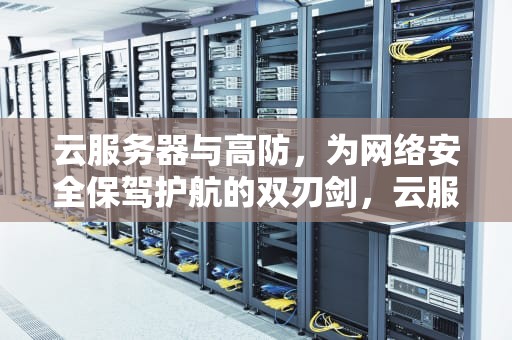 云服务器与高防，为网络安全保驾护航的双刃剑，云服务器和高防服务器的区别