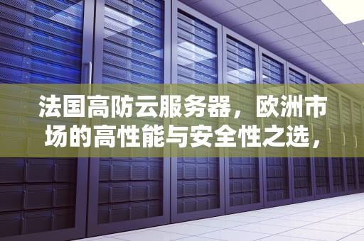法国高防云服务器，欧洲市场的高性能与安全性之选，法国高防云服务器有哪些