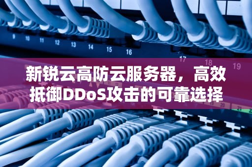 新锐云高防云服务器，高效抵御DDoS攻击的可靠选择，新锐云高防云服务器怎么样