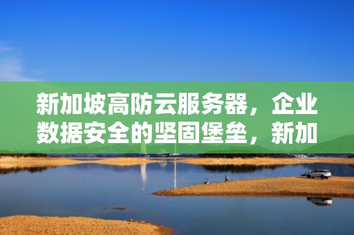 新加坡高防云服务器，企业数据安全的坚固堡垒，新加坡高防云服务器是什么