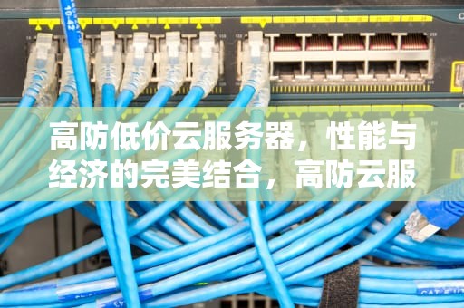 高防低价云服务器，性能与经济的完美结合，高防云服务器哪家便宜