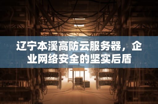 辽宁本溪高防云服务器，企业网络安全的坚实后盾