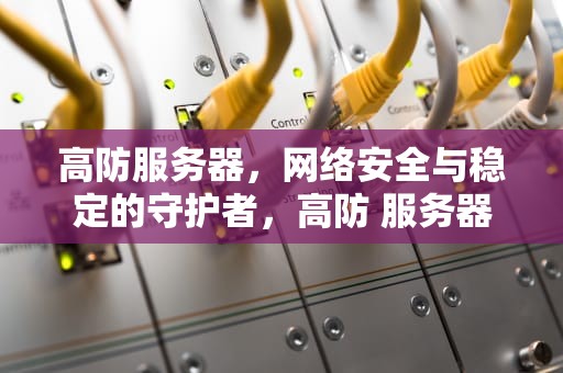 高防服务器，网络安全与稳定的守护者，高防 服务器