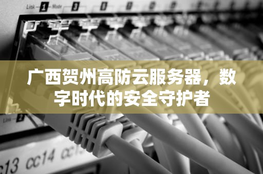 广西贺州高防云服务器，数字时代的安全守护者