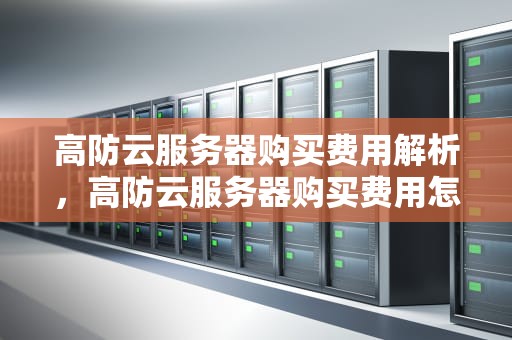 高防云服务器购买费用解析，高防云服务器购买费用怎么算