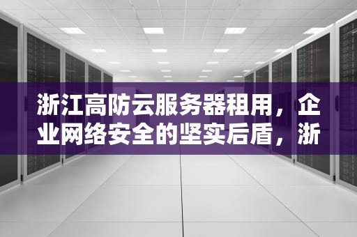 浙江高防云服务器租用，企业网络安全的坚实后盾，浙江高防云服务器租用公司