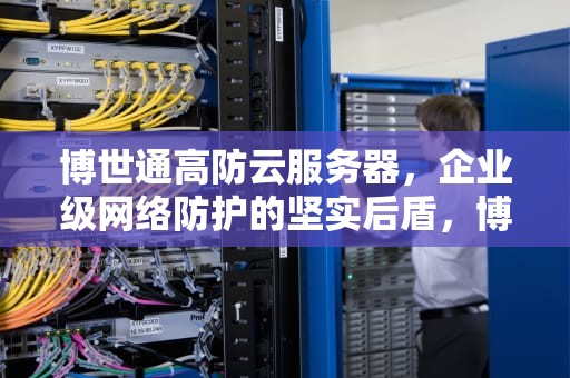 博世通高防云服务器，企业级网络防护的坚实后盾，博世安防软件
