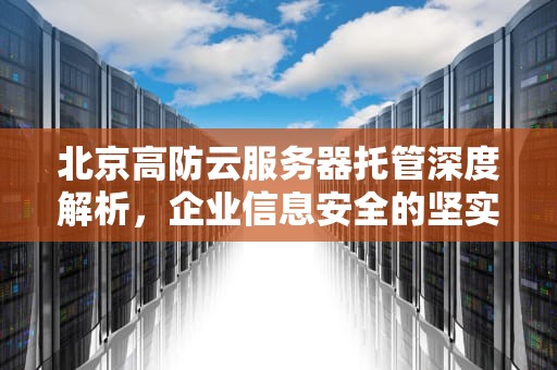 北京高防云服务器托管深度解析，企业信息安全的坚实支柱，北京高防云服务器托管公司