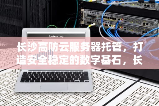 长沙高防云服务器托管，打造安全稳定的数字基石，长沙高防云服务器托管公司