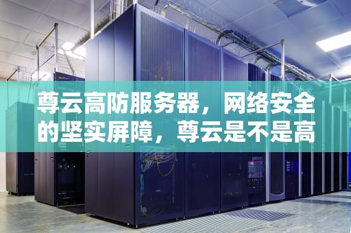 尊云高防服务器，网络安全的坚实屏障，尊云是不是高防服务器软件