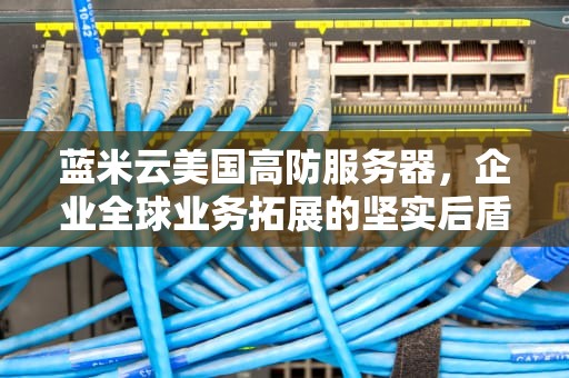 蓝米云美国高防服务器，企业全球业务拓展的坚实后盾，蓝米云服务器怎么样