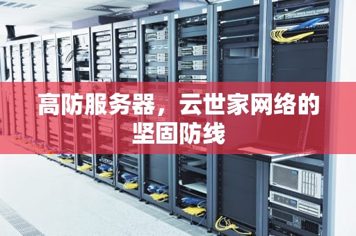 高防服务器，云世家网络的坚固防线