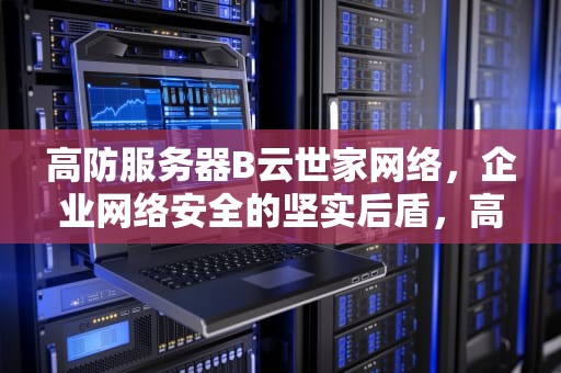 高防服务器B云世家网络，企业网络安全的坚实后盾，高防云服务器哪家便宜