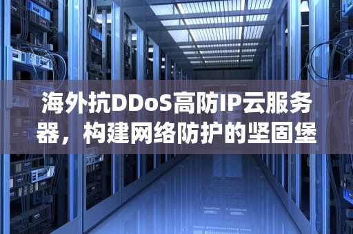 海外抗DDoS高防IP云服务器，构建网络防护的坚固堡垒，海外高防vps推荐