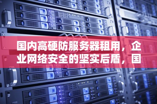 国内高硬防服务器租用，企业网络安全的坚实后盾，国内高硬防服务器租用厂家