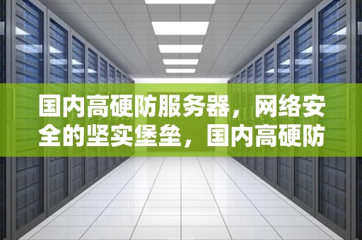 国内高硬防服务器，网络安全的坚实堡垒，国内高硬防服务器租用