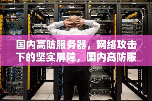 国内高防服务器，网络攻击下的坚实屏障，国内高防服务器哪个好