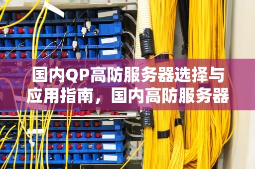 国内QP高防服务器选择与应用指南，国内高防服务器哪个好