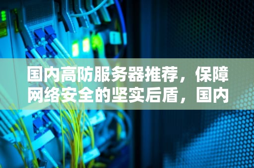 国内高防服务器推荐，保障网络安全的坚实后盾，国内高防服务器推荐品牌