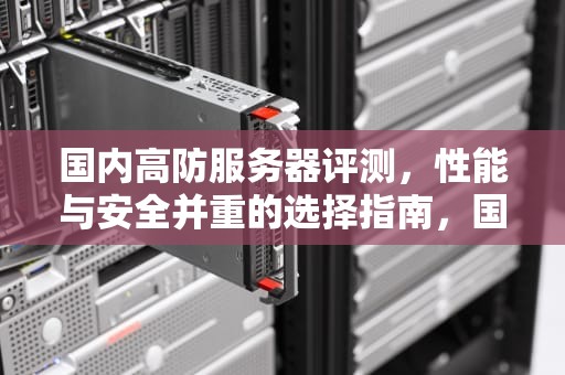 国内高防服务器评测，性能与安全并重的选择指南，国内高防服务器评测机构